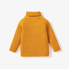 Toddler Girl/Boy Solid Cable Knit Turtleneck Sweater